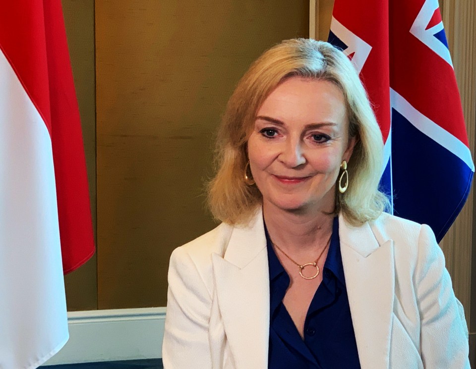 Liz Truss said she looks forward to working with Turkey