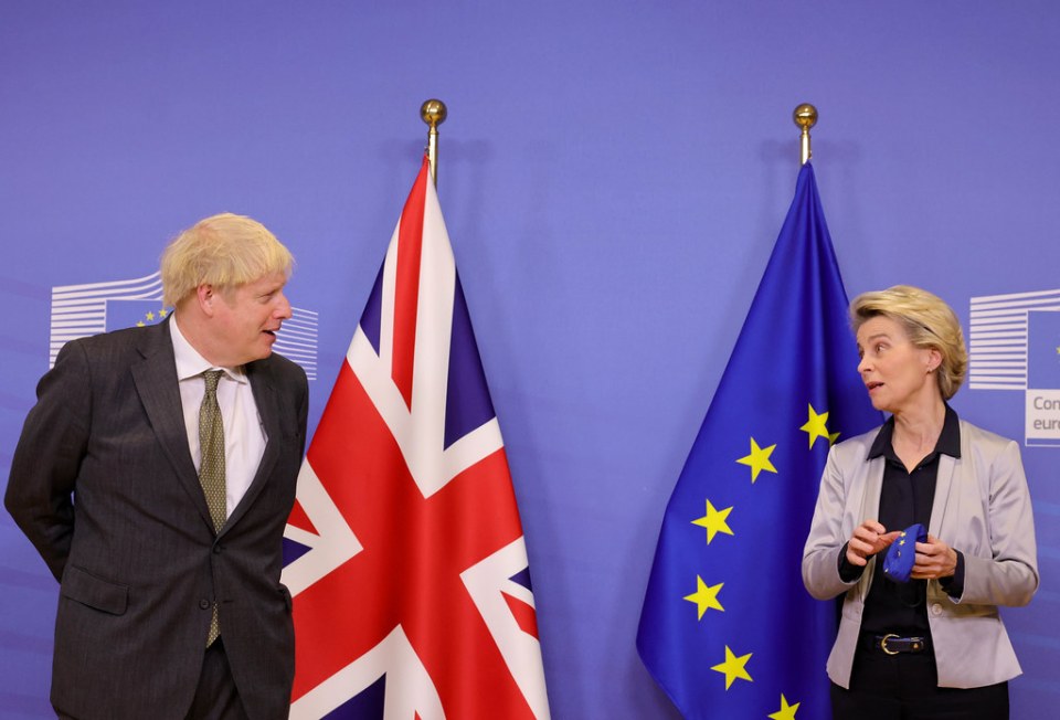 Boris Johnson dashed to Brussels last night to meet with Ms von der Leyen