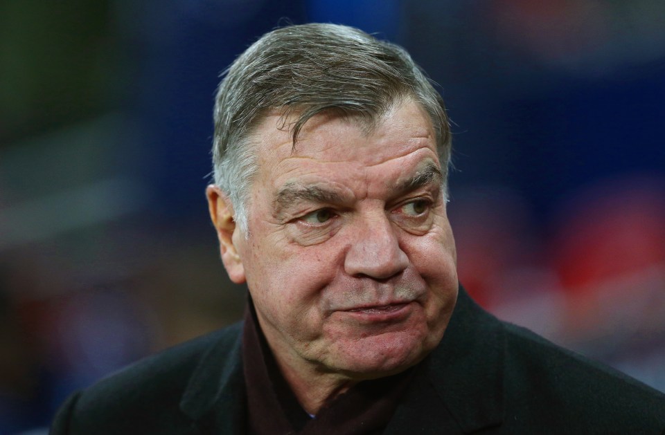 Sam Allardyce has been appointed as his replacement at the Baggies