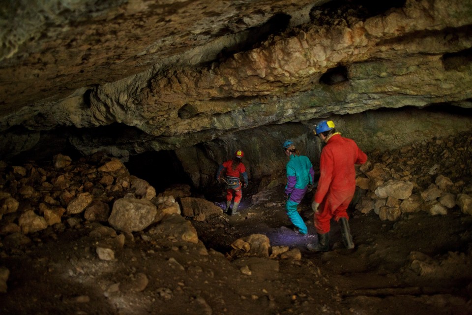 The bone fossils show damage similar to the damage on bones of hibernating animals