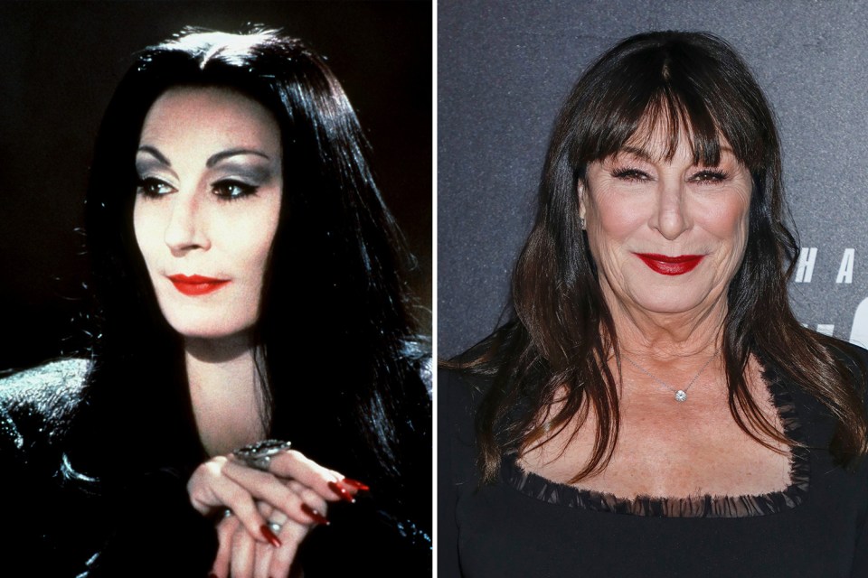 Anjelica Huston plays the mysterious Morticia Addams