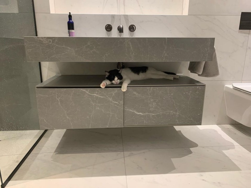 The family’s cat can be seen nestled between the grey stone sink in the otherwise white bathroom