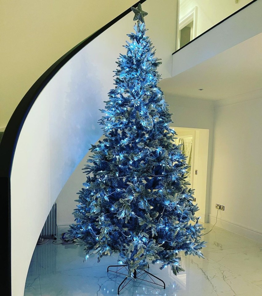 Meanwhile comedian Paddy shared a look at the modern entrance hall with a striking Christmas tree already in place