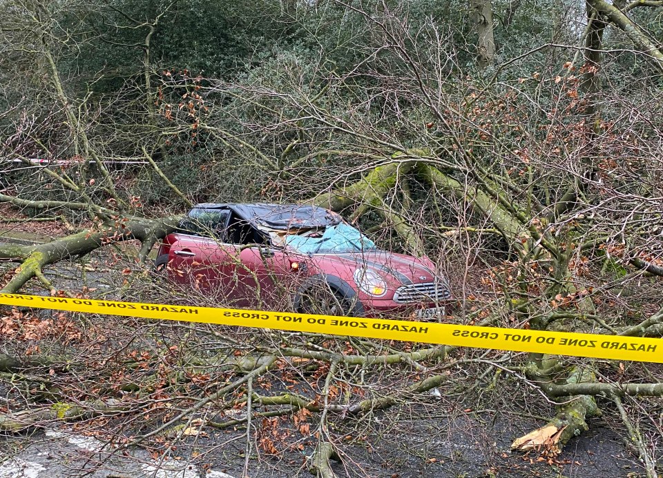 In south-east London, high winds brought a tree down onto a Mini