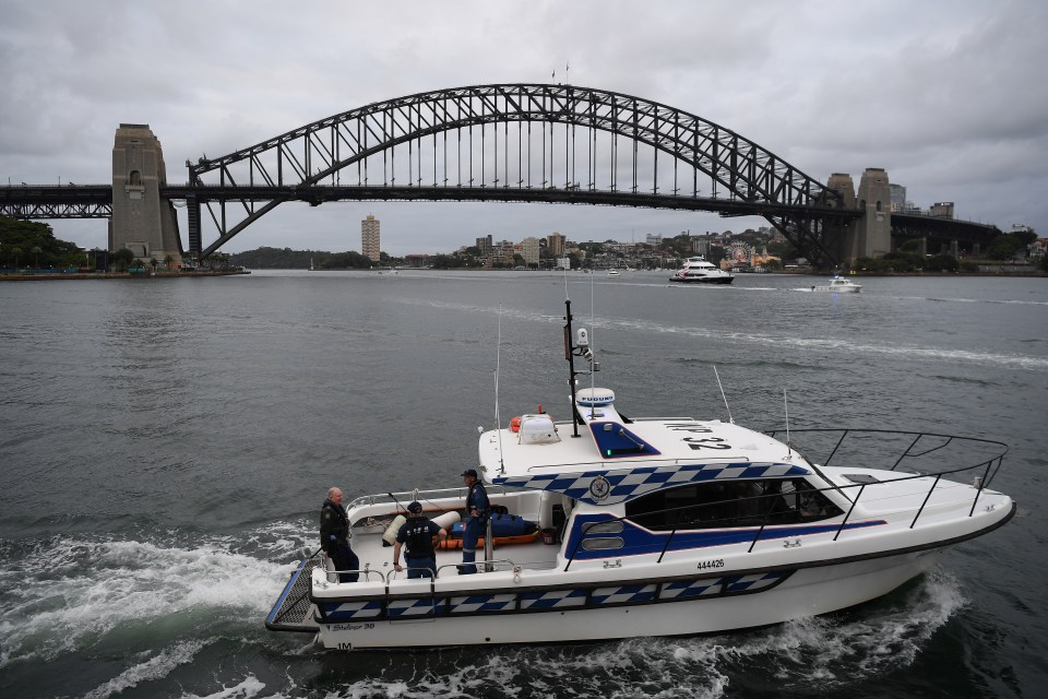 Sydneysiders were asked to stay home and watch the fireworks on television this year due to the coronavirus