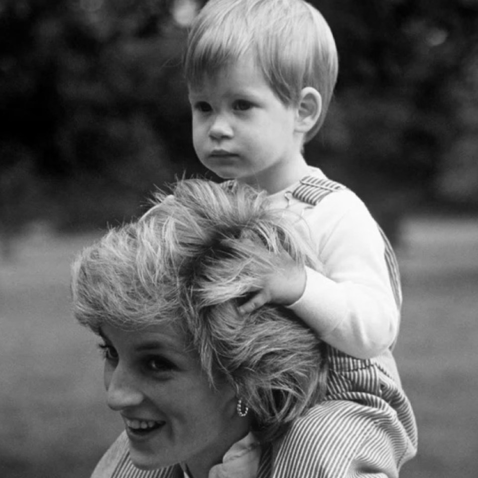 The website features a snap of Harry as a toddler on Diana’s shoulders