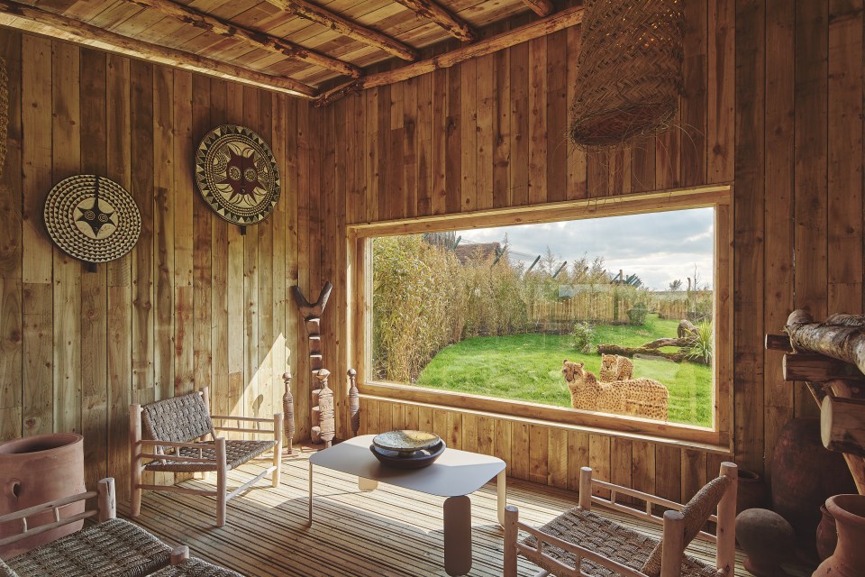 You can now stay at a luxury safari lodge in the UK