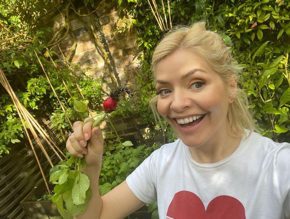  Holly has a huge allotment where she enjoys growing vegetables