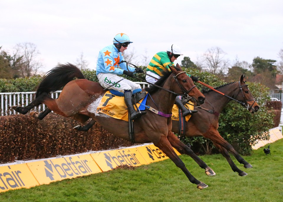 The Betfair Tingle Creek takes place this weekend