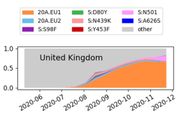 The new strain (pink) is spreading faster than the Spanish one (orange). Pictured is a timeline of their growth. Source: Dr Emma Hodcroft