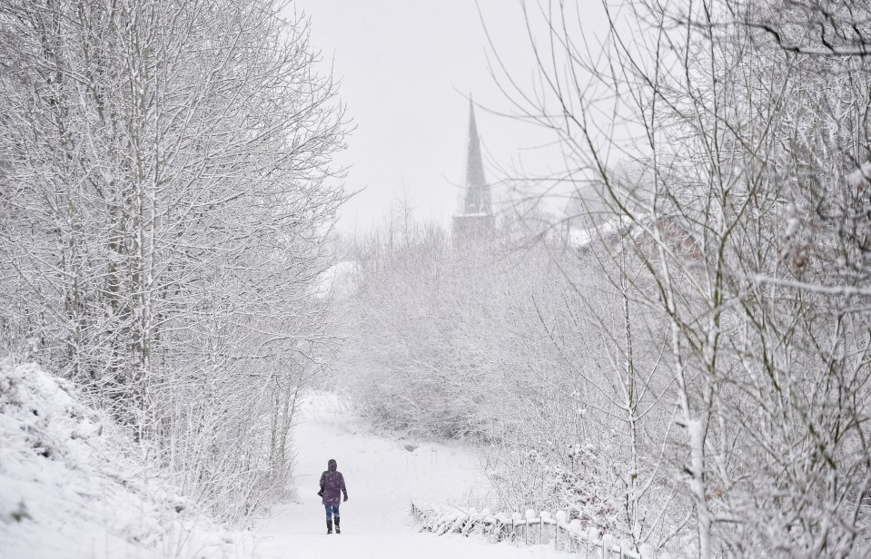 Newcastle has been transformed by the snow storm 