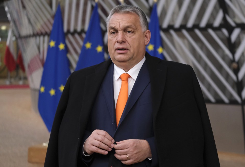 Hungarian Prime Minister Viktor Orban’s chief of staff confirmed approval had been given to the Russian jab and a contract for two million doses was signed