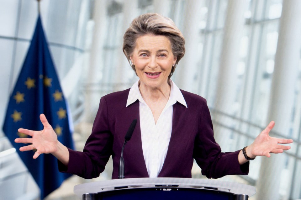 EU boss Ursula von der Leyen said the bloc 'means business' with its new export restrictions 