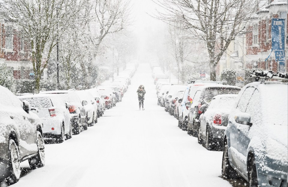 The weather in Australia is a stark contrast to the freezing temperatures that have been felt across the UK. Pictured: A man braves the freezing weather on Sunday at Muswell Hill in London