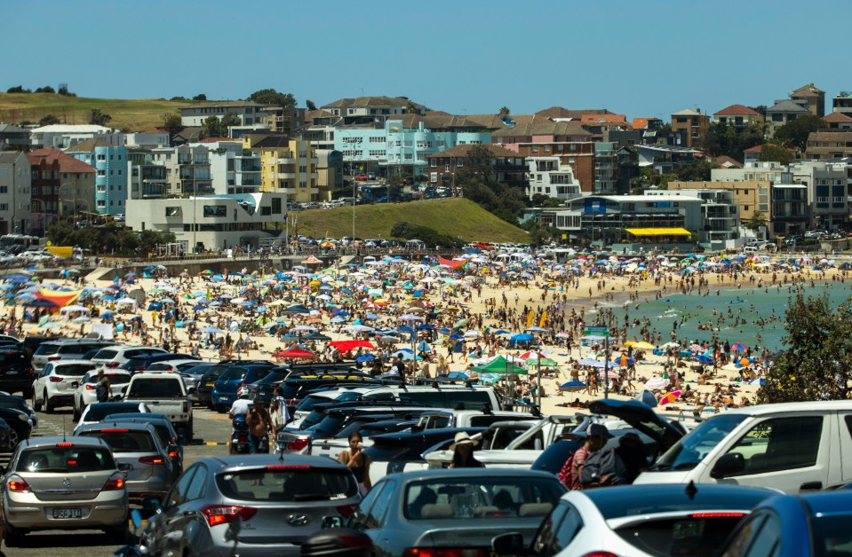 There was a standstill in traffic beside Bondi Beach this morning with officials urging locals to rethink their plans