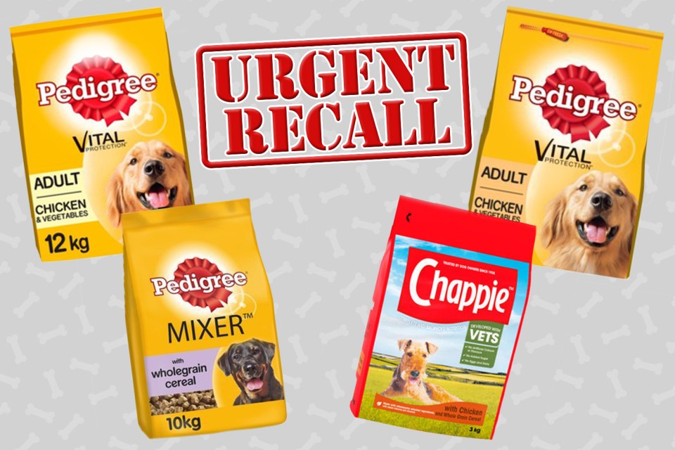 Here are some of the Pedigree and Chappie dog foods that are being recalled