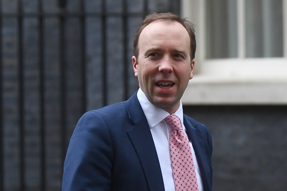 The Health Secretary laid out the Government's vaccination plans in full