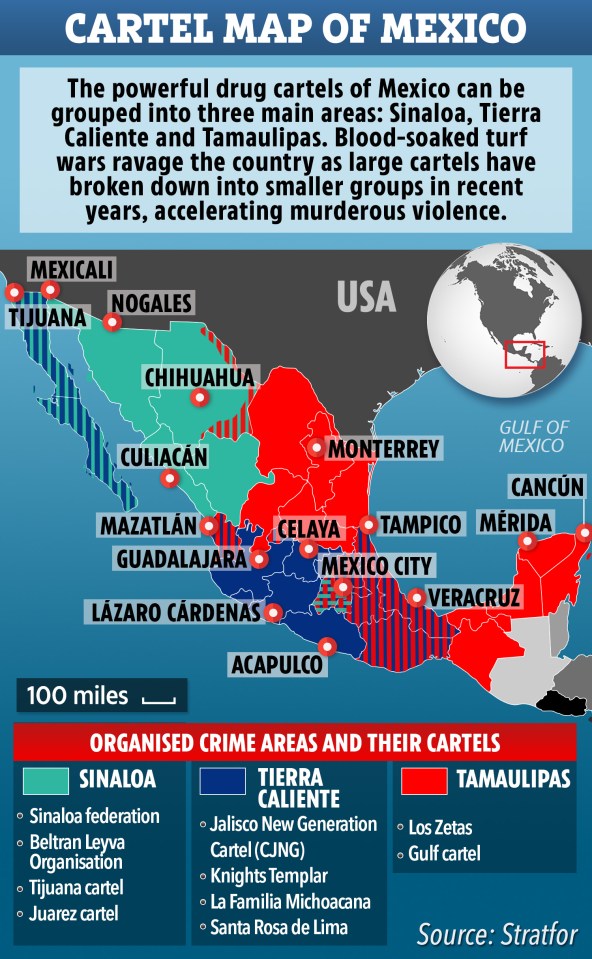 Multiple warring cartels fight for control of Mexico's cocaine business