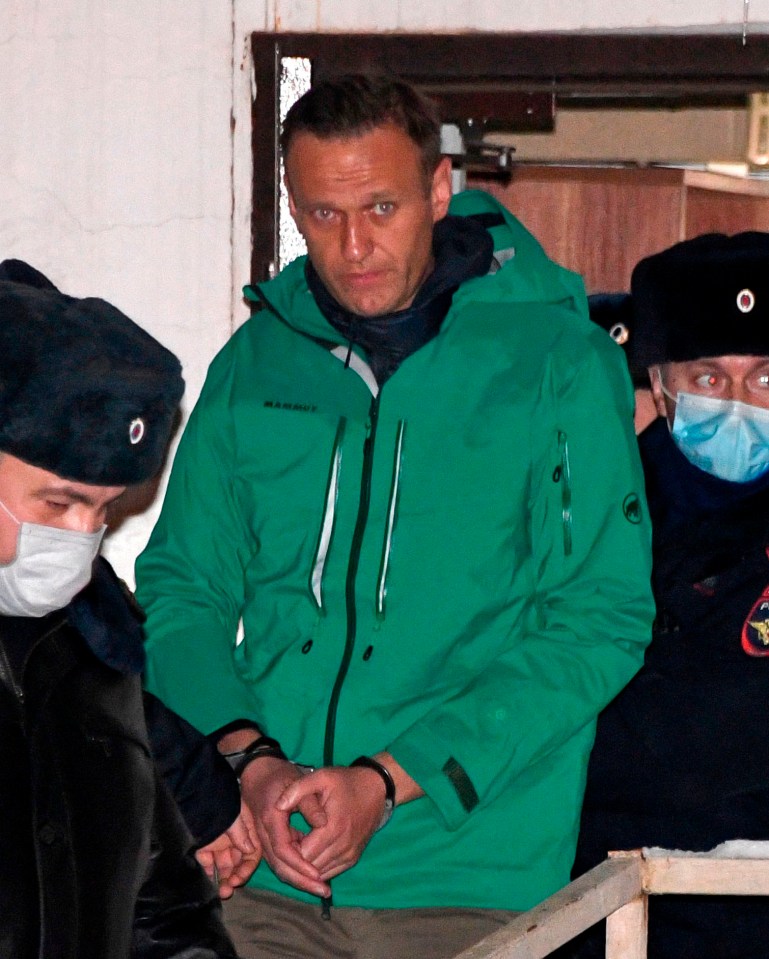 Navalny has been jailed for 30 days after being arrested in Moscow