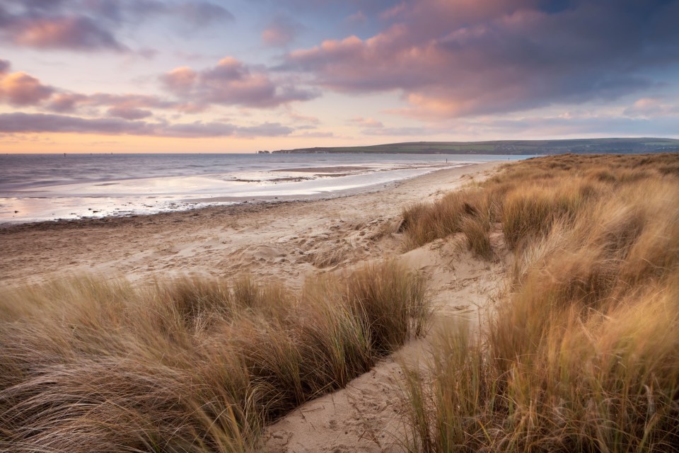 Take a trail walk on a sand dune at Studland Beach