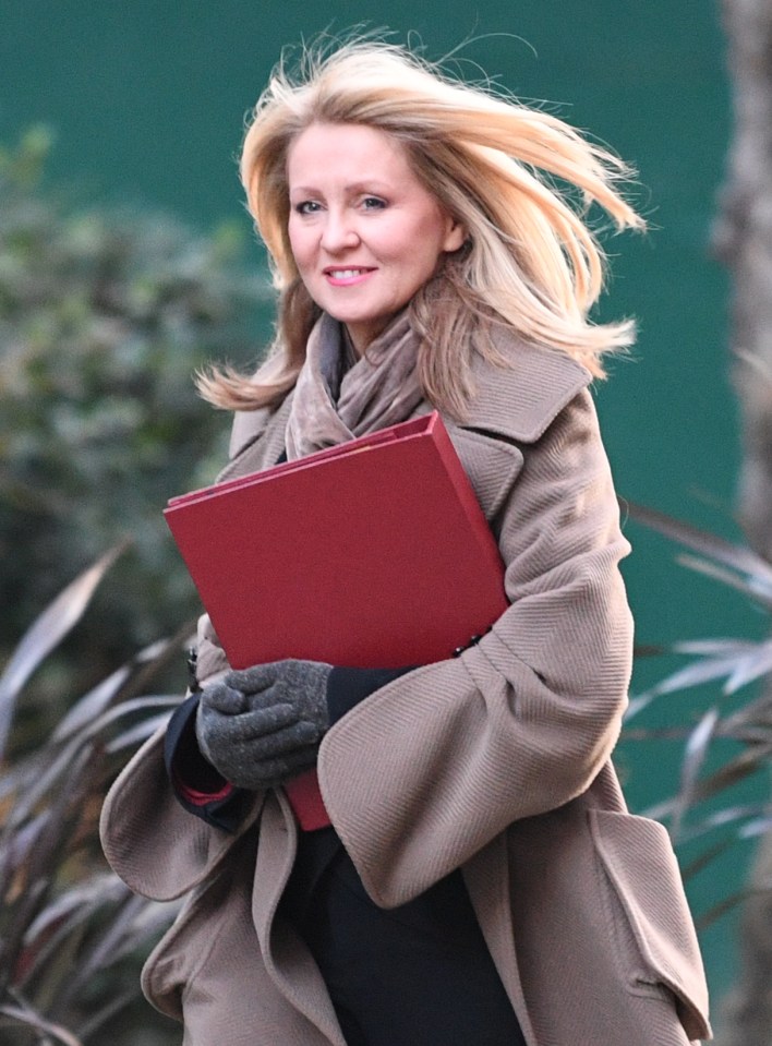 Ex-Cabinet minister Esther McVey accused the Government of forgetting about kids