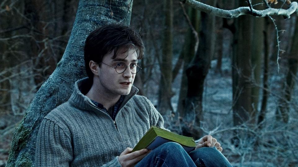 Many Harry Potter fans are unsure about their feelings towards the franchise getting made into a TV series