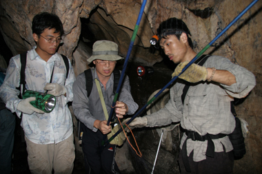 Some scientists at the lab didn't even wear gloves as they entered the bat-filled caves