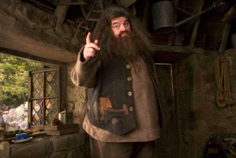 The franchise has some much-loved characters including Hagrid (Anthony Robert McMillan )