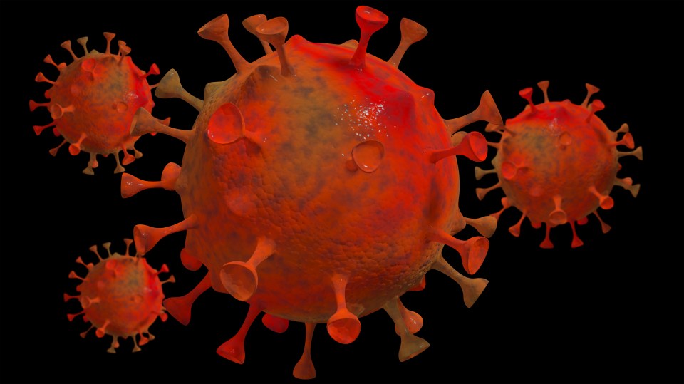 The South African coronavirus variant is up to 50% more contagious, an expert studying the mutation has said