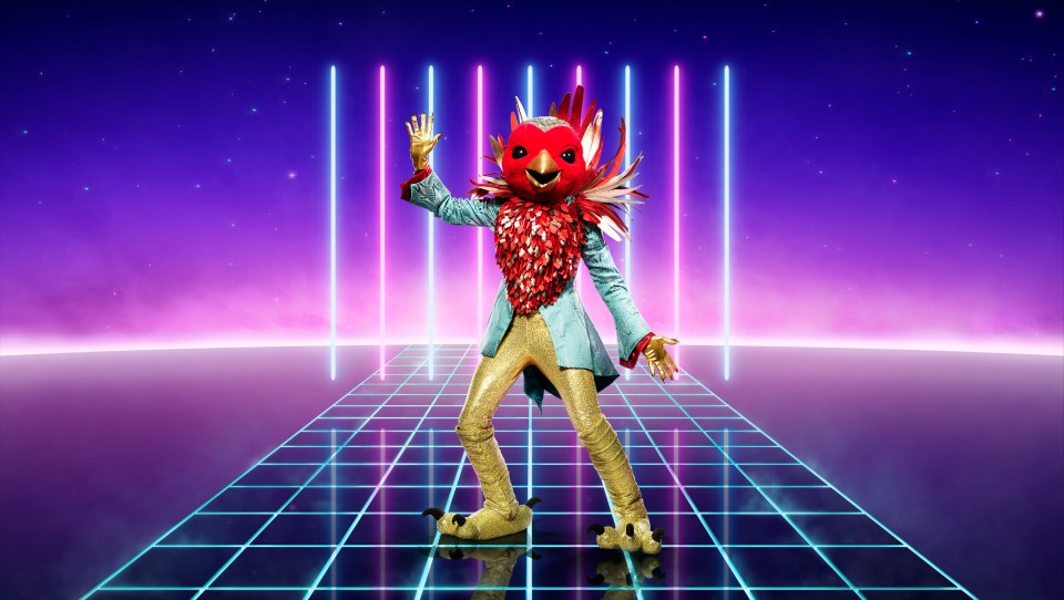 The Robin is a contestant on The Masked Singer UK 2021