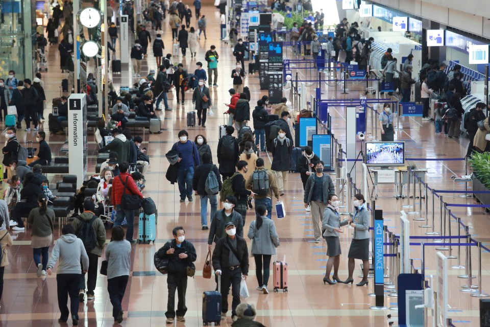 The passengers had flown in from Brazil to Haneda Airport in Tokyo