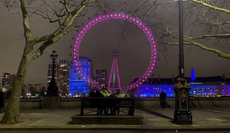 London managed to put on a spectacular display this New Year's Eve but the streets were virtually empty.