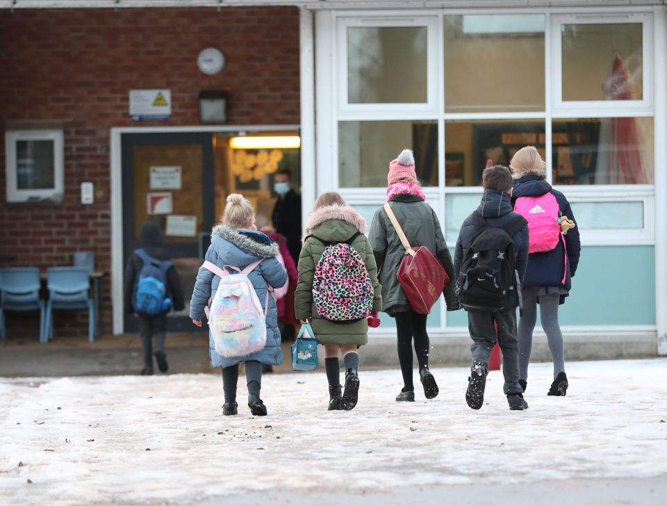 Mr Williamson could not guarantee nursery schools would remain open