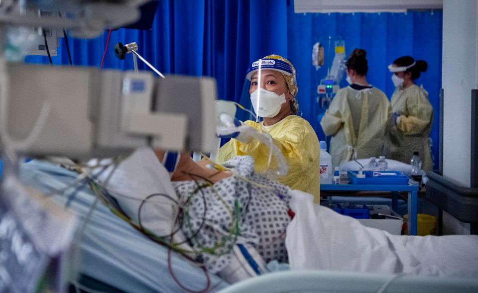 Prof Edmunds said there was "pretty solid" evidence the Kent strain is more deadly. Pictured: A nurse works on a patient in the ICU (Intensive Care Unit) in St George's Hospital in Tooting, January 6