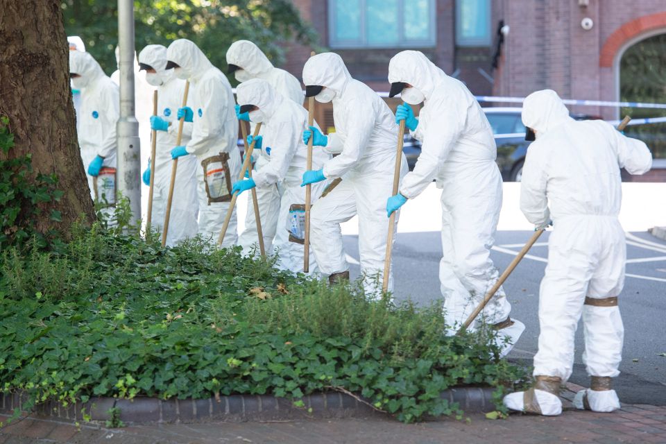 Forensics carry out a search near Forbury Gardens, in Reading town centre