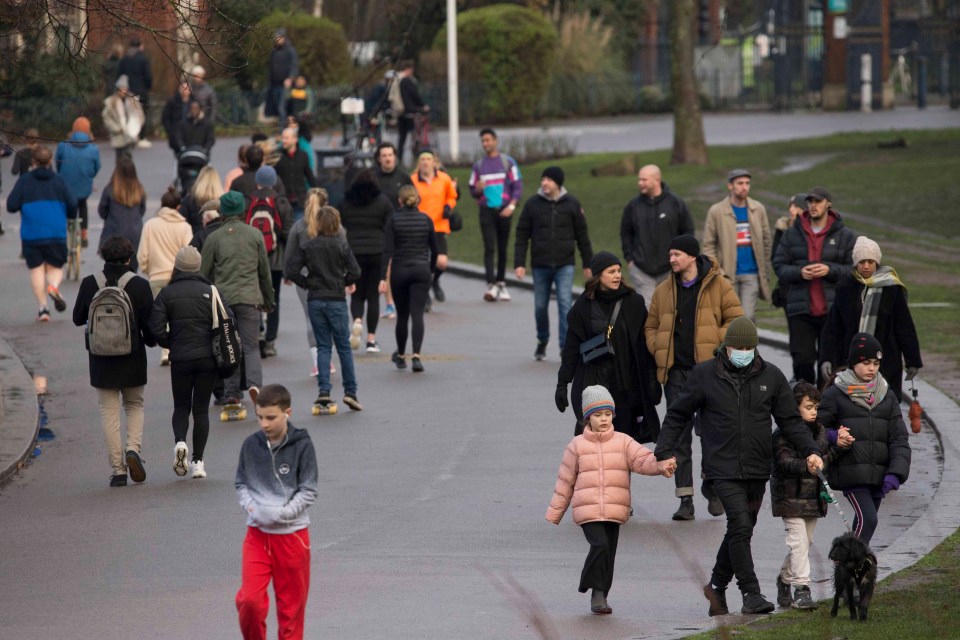 Members of the public enjoy a walk through Victoria Park, east London as the third national lockdown continues