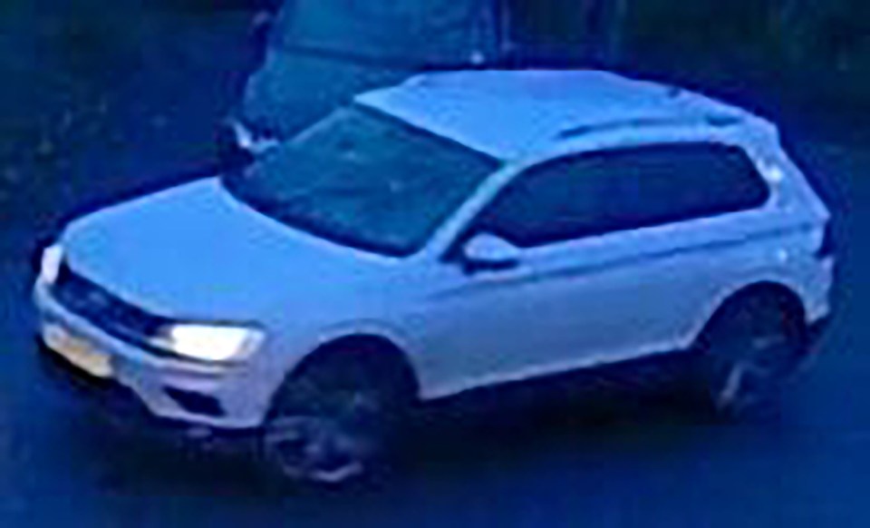 Officers issued an image of the car they believe was involved