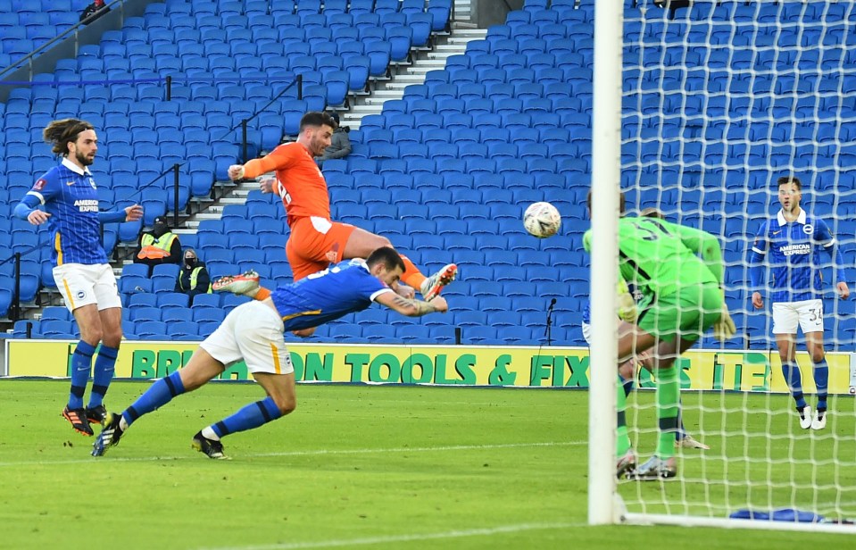 Blackpool's Gary Madine pounced for a temporary equaliser at Brighton