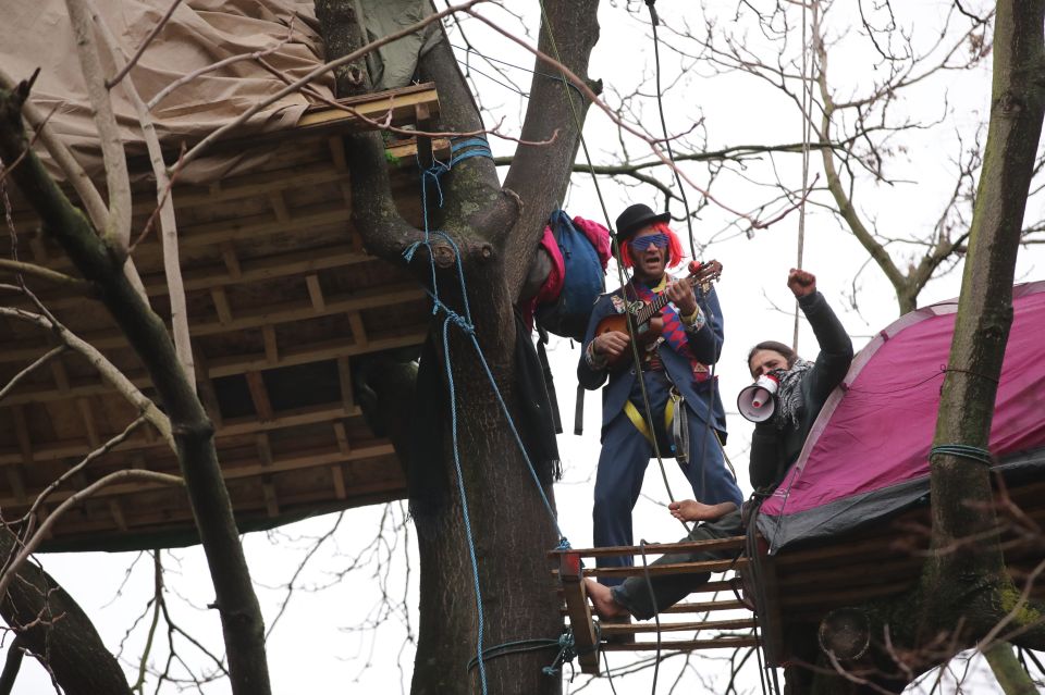 Protesters sing in the trees