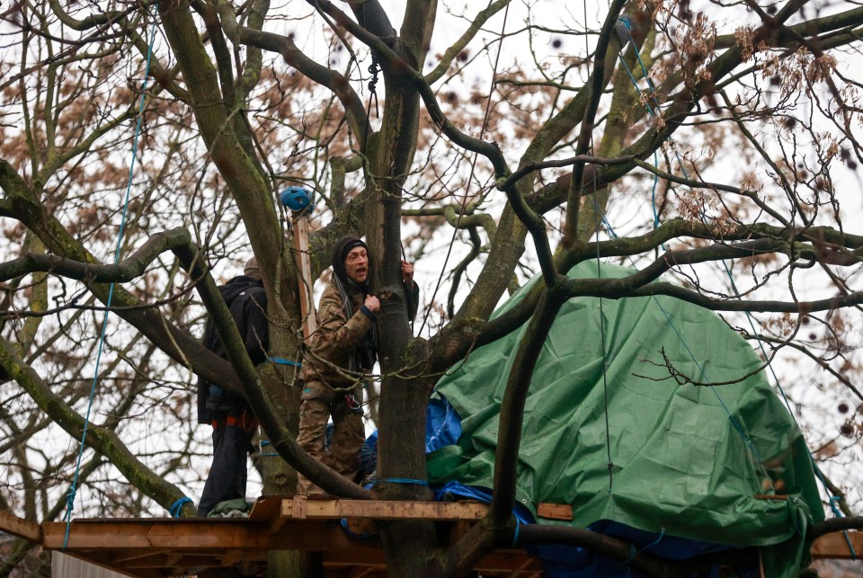 One protester is seen clinging to a tree