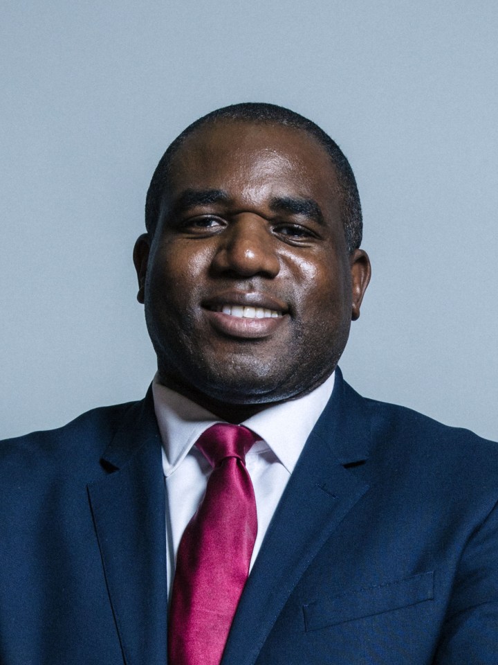 Politician David Lammy was among prominent figures to lambast Jon Holbrook in the race row over Ruby Williams’ discrimination case