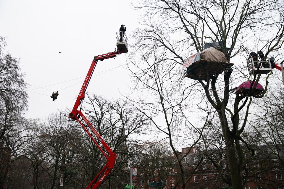 The tree houses where the activists have been holed up