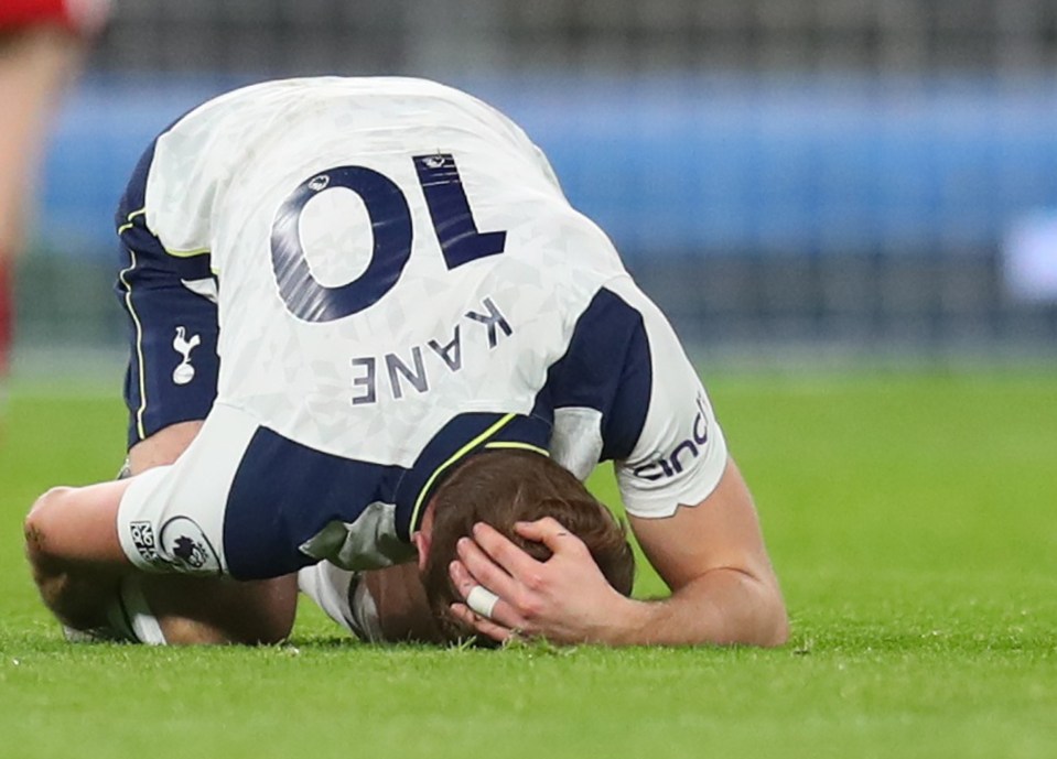 Harry Kane was in pain after taking a knock to the ankle