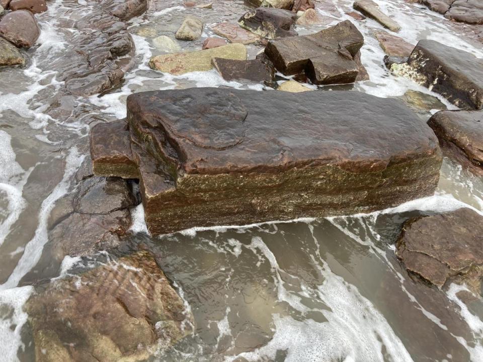 Ben Evans from British Institute for Geological Conservation called the footprint, found on a beach in Barry, an 'amazing specimen'