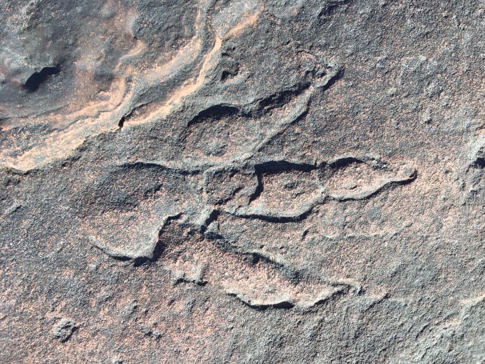 The four-year-old Lily discovered the footprint while out for a walk with her dad