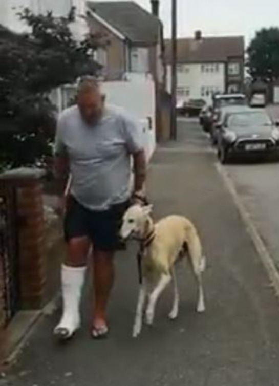 Lurcher Bill wanted to show his owner sympathy by copying him