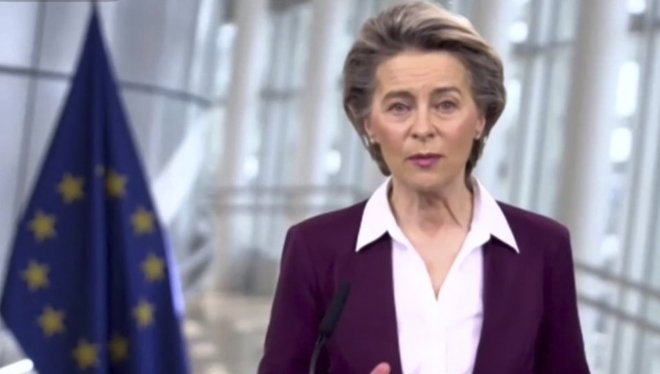 Hungary has caused chaos within the EU by sourcing its own Covid vaccine supplies – pictured President of the European Commission Ursuala von der Leyen