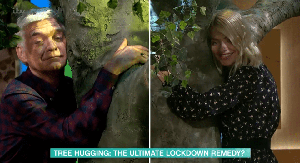 Phil and Holly hugged trees on today's This Morning