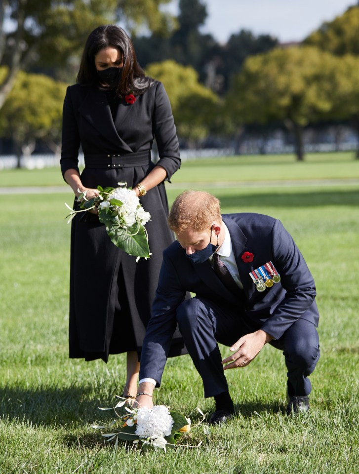 The pleated detail on the dress worn at the Remembrance Day appearance was very unsuspecting