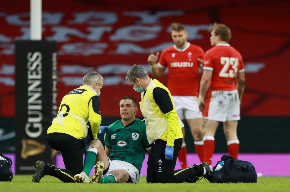 Johnny Sexton was taken off for a HIA during the defeat to Wales